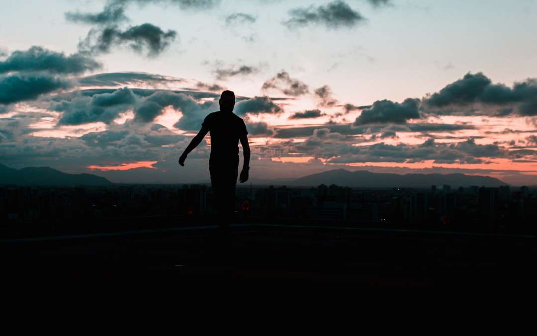 silhuett av mannen som står på fältet under solnedgången Pussel online