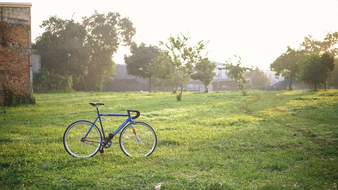 bicicleta de munte albastră și albastră pe câmpul de iarbă verde jigsaw puzzle online
