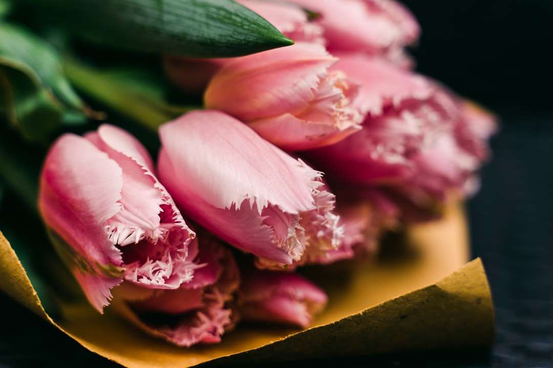 pétalas de flores rosa e brancas puzzle online