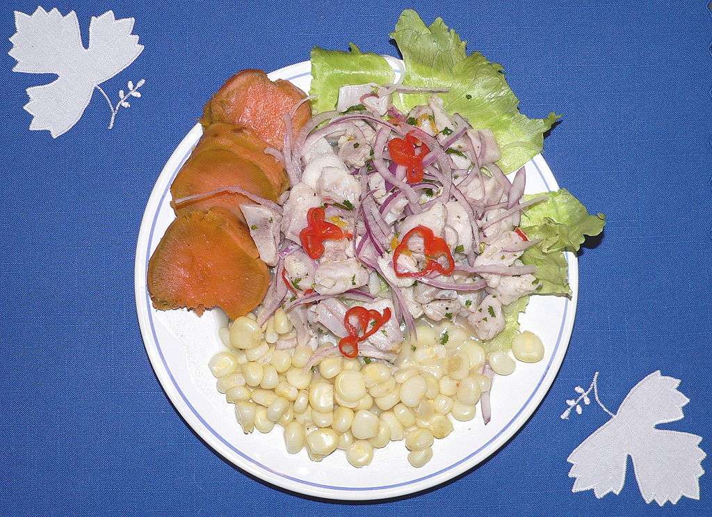Ceviche .......... jigsaw puzzle online