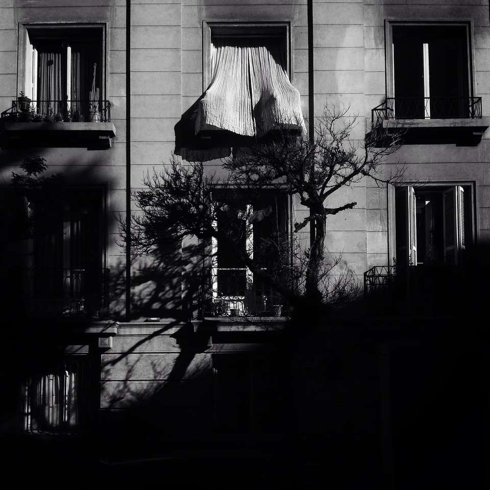 Grayscale fotografie de copac în fața ferestrei puzzle online