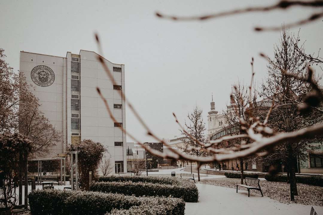 бяла бетонна сграда близо до дървета през деня онлайн пъзел