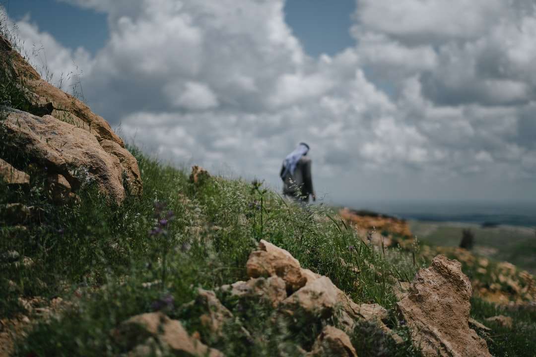 Mann im grauen Kapuzenpulli, der tagsüber auf braunem Felsen steht Online-Puzzle