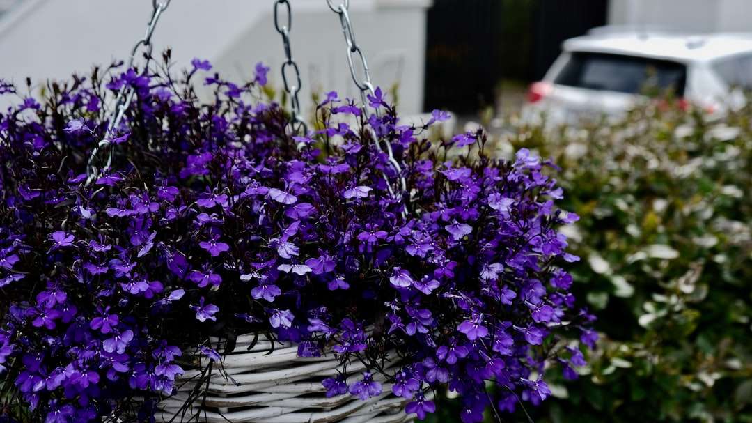 фиолетовые цветы на коричневой плетеной корзине пазл