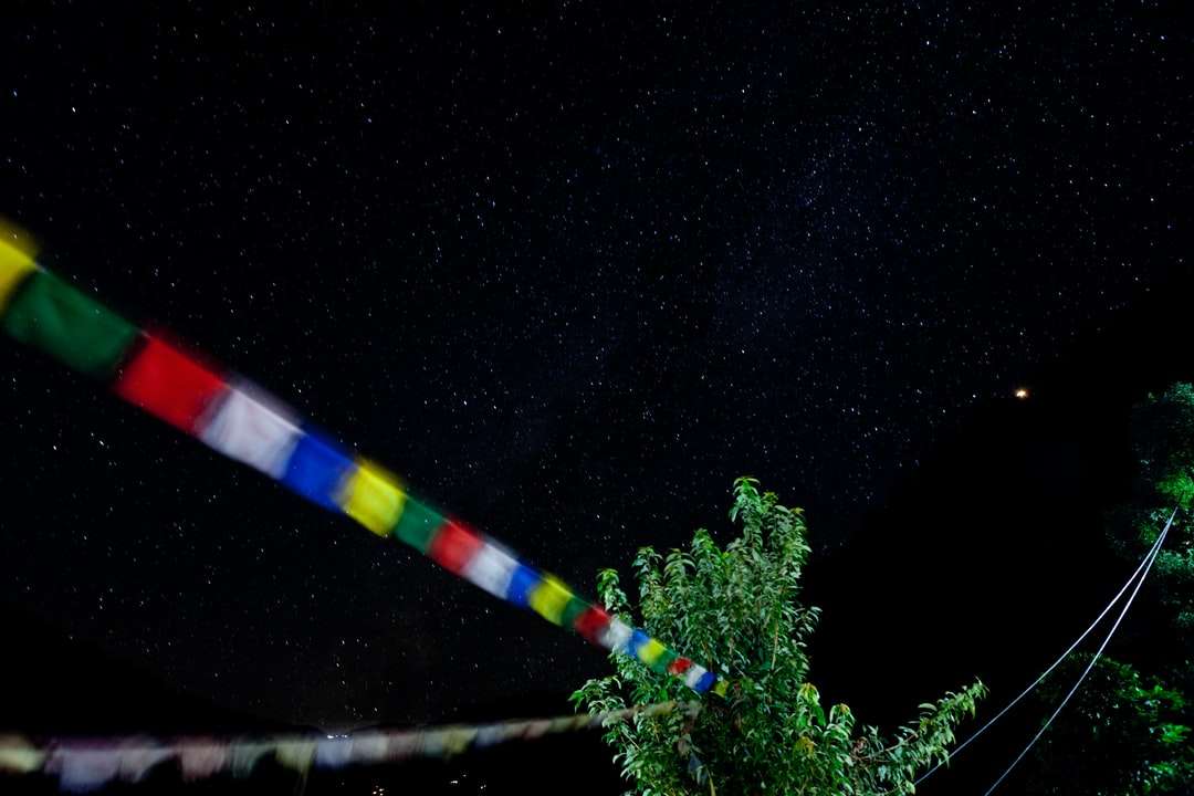 夜間の緑の松の木 オンラインパズル