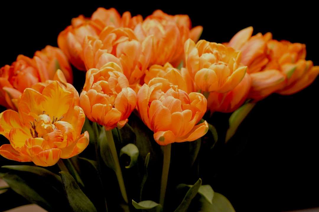 μπουκέτο λουλούδια ροδάκινου online παζλ