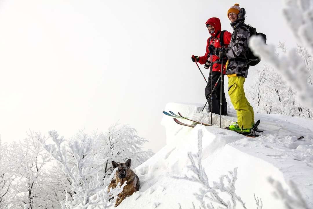 Hombre de chaqueta roja y pantalón negro montando cuchillas de esquí rompecabezas en línea