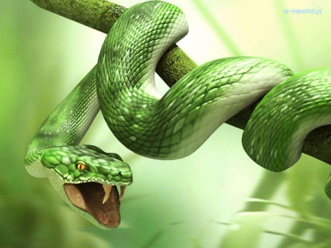 Grüne Schlange auf einem Zweig Puzzlespiel online