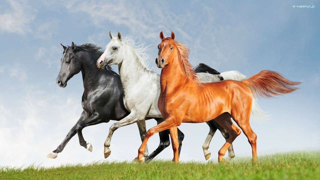 koně online puzzle