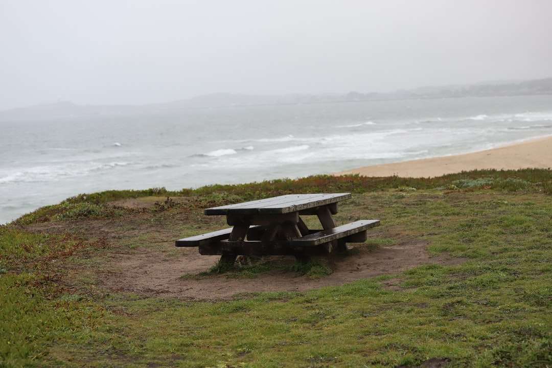 Mesa de picnic de madera marrón en campo de hierba verde cerca del cuerpo rompecabezas en línea