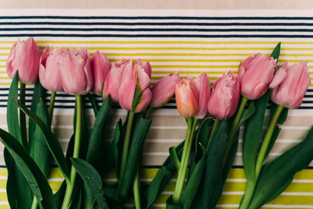Tulipanes rosados ​​frente a pared de madera amarilla y marrón. rompecabezas en línea