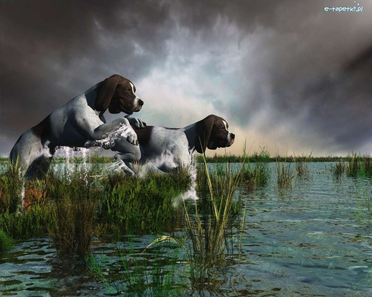 Κυνήγι σκυλιά πάνω από τα backwaters παζλ online