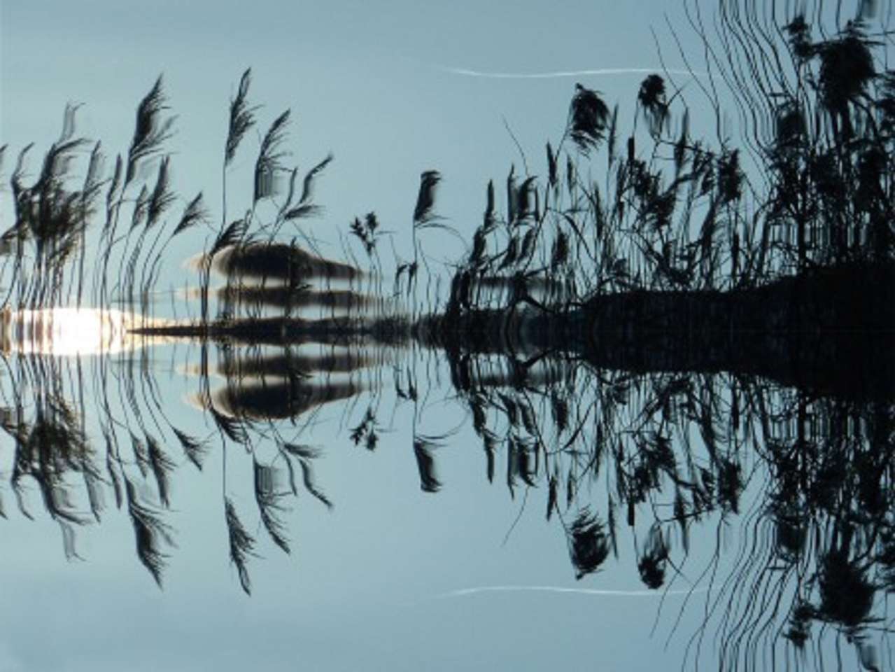 Тръстика, отразяваща брега на езерото онлайн пъзел