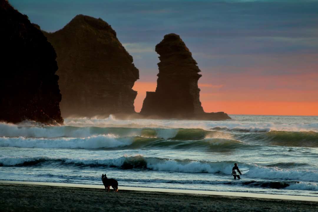 Silhouette von 2 Personen, die auf Strand während des Sonnenuntergangs gehen Online-Puzzle