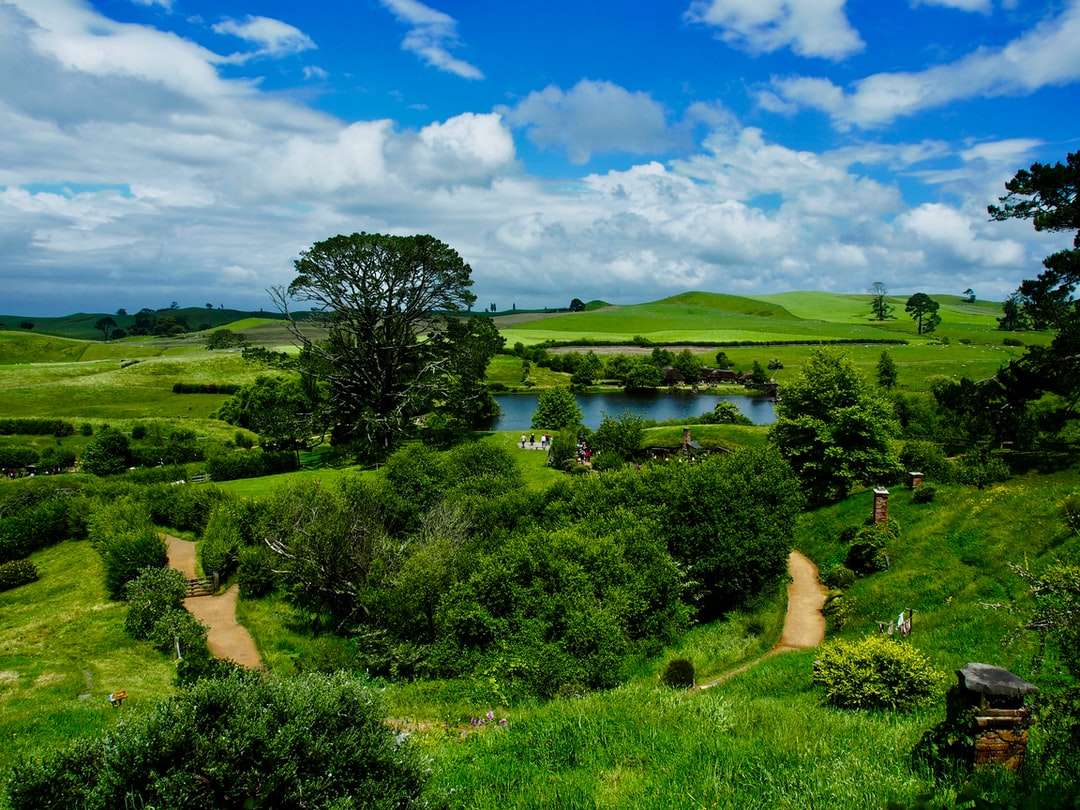Zelené travnaté pole u jezera pod modrou oblohou během dne online puzzle
