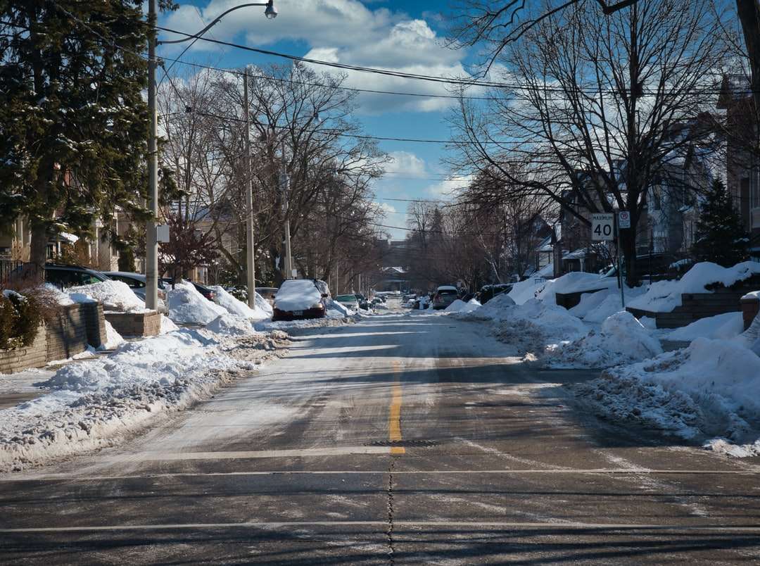 Schneebedeckte Straße tagsüber Online-Puzzle
