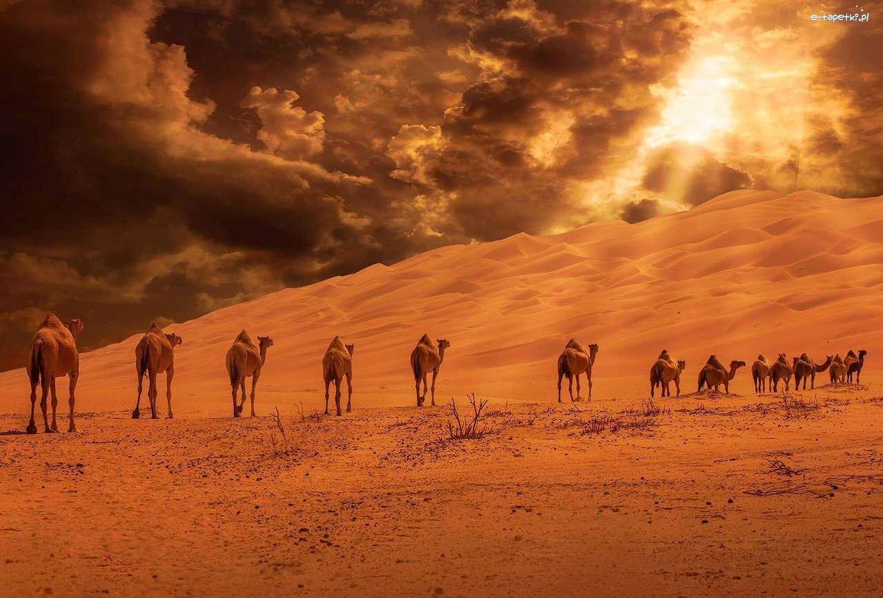 Caravana en el desierto rompecabezas en línea