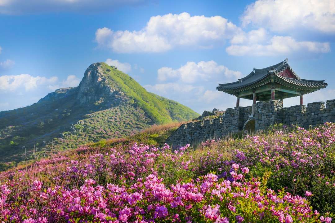 Lila blomma fält nära grönt berg under blå himmel Pussel online