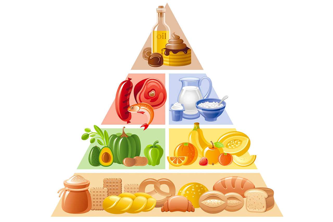 Пищевая пирамида онлайн-пазл