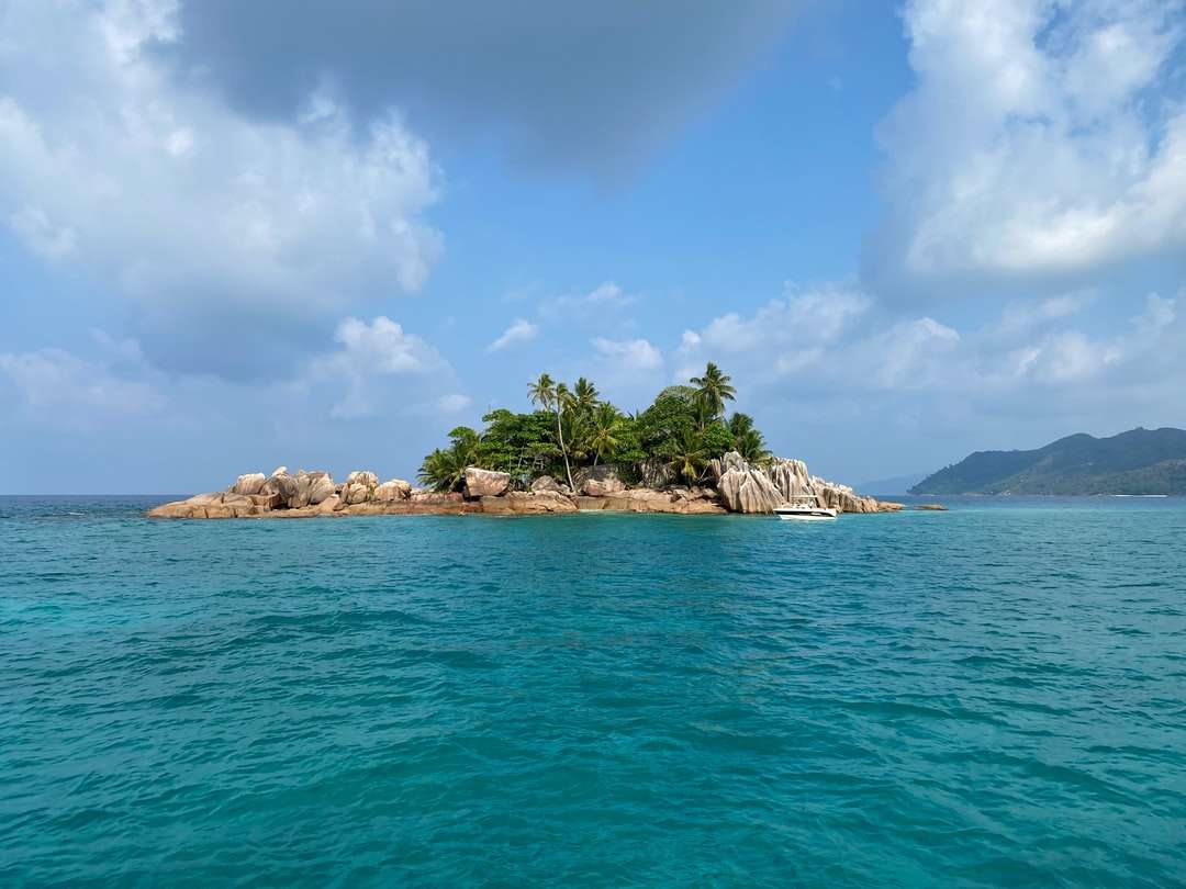 Arbori verzi pe insulă înconjurați de apă puzzle online