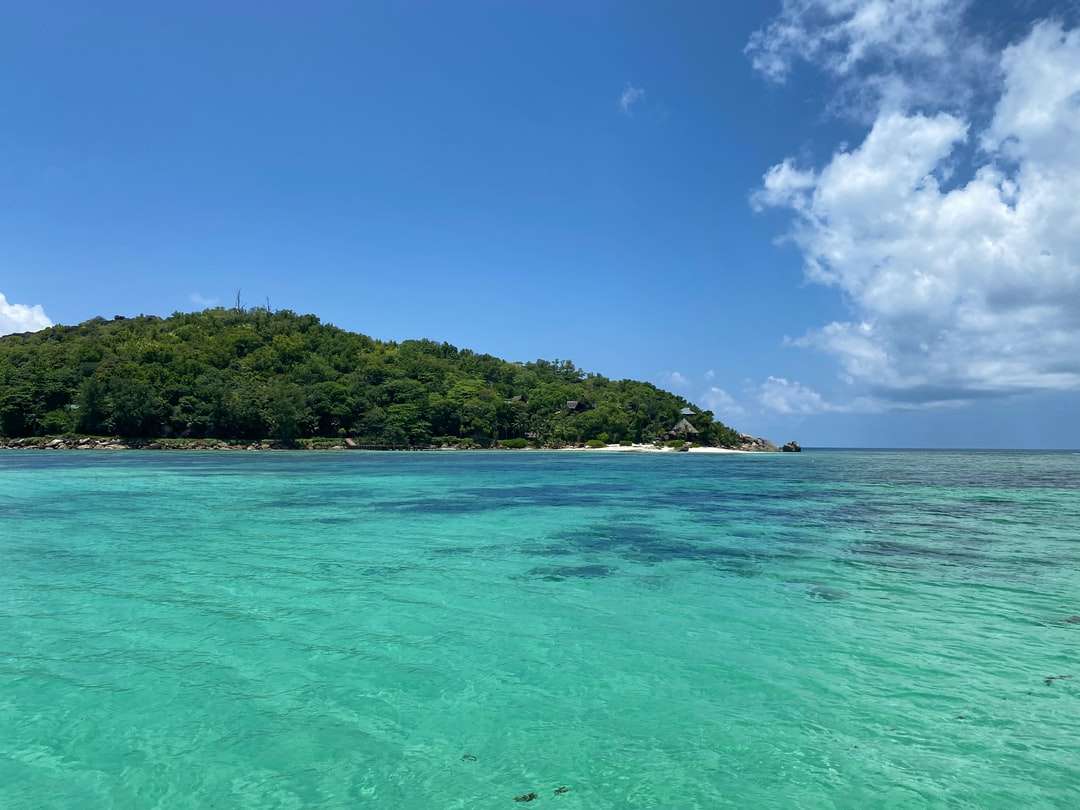 Groene eiland omringd door blauwe zee onder blauwe hemel legpuzzel online