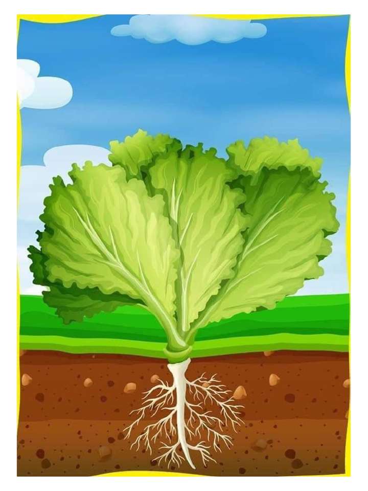 Premiers légumes puzzle en ligne