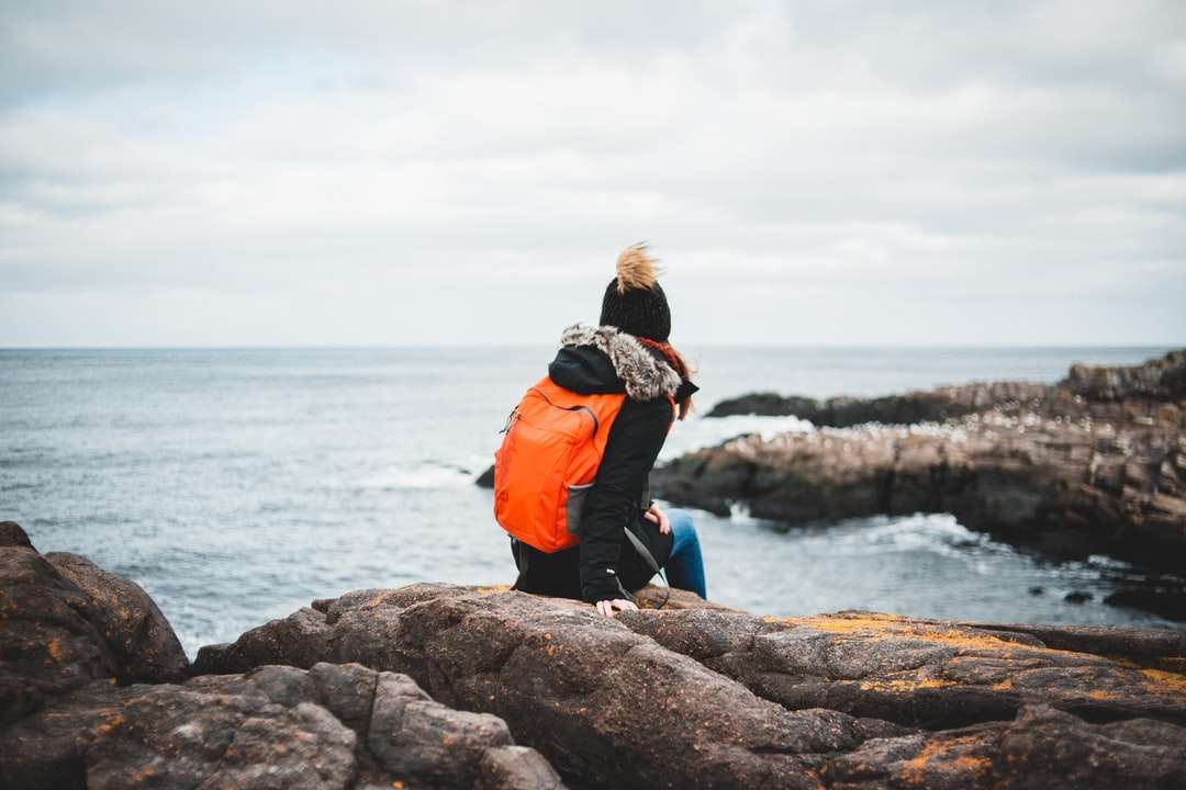 体の近くの茶色の岩の上に座っているオレンジ色のジャケットの女性 ジグソーパズルオンライン