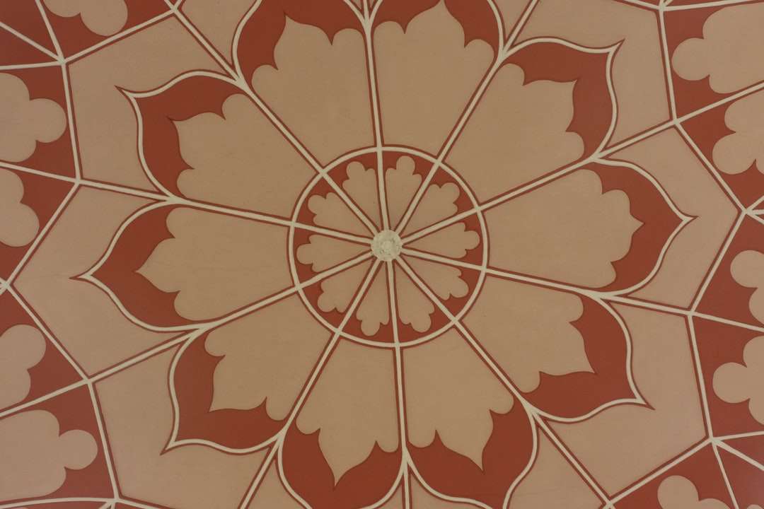 illustration de fleurs orange et blanche puzzle en ligne