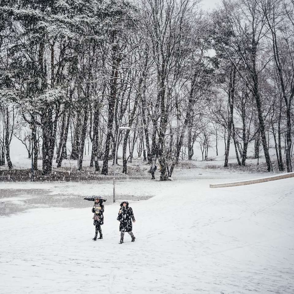 2 άτομο με τα πόδια στο χιόνι που καλύπτεται από τη διάρκεια της ημέρας online παζλ