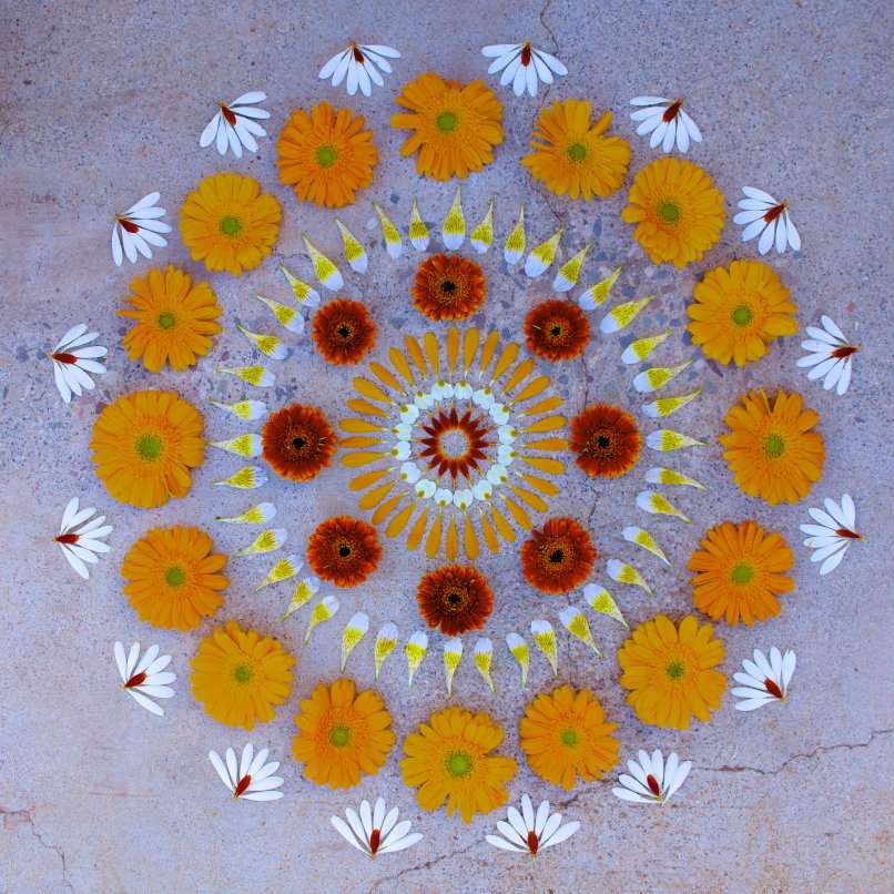 Mandala avec la nature puzzle en ligne