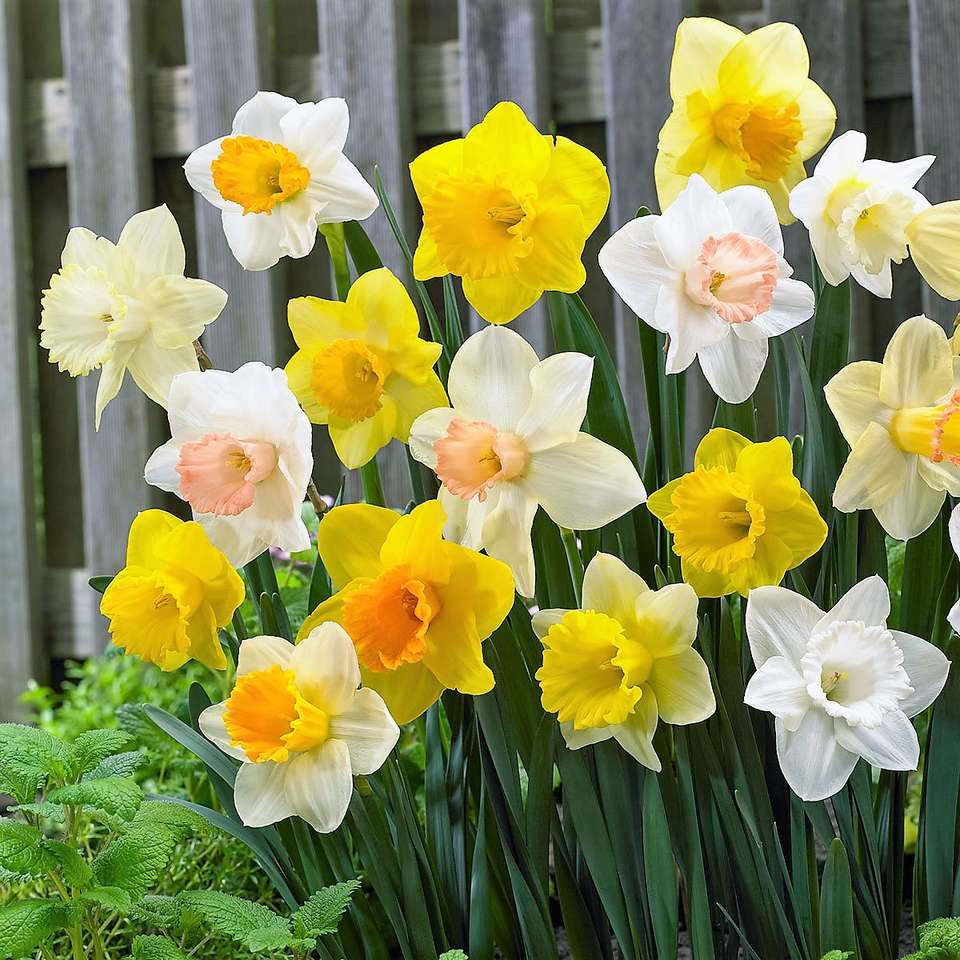 Húsvéti húsvéti harangok a kertben kirakós online
