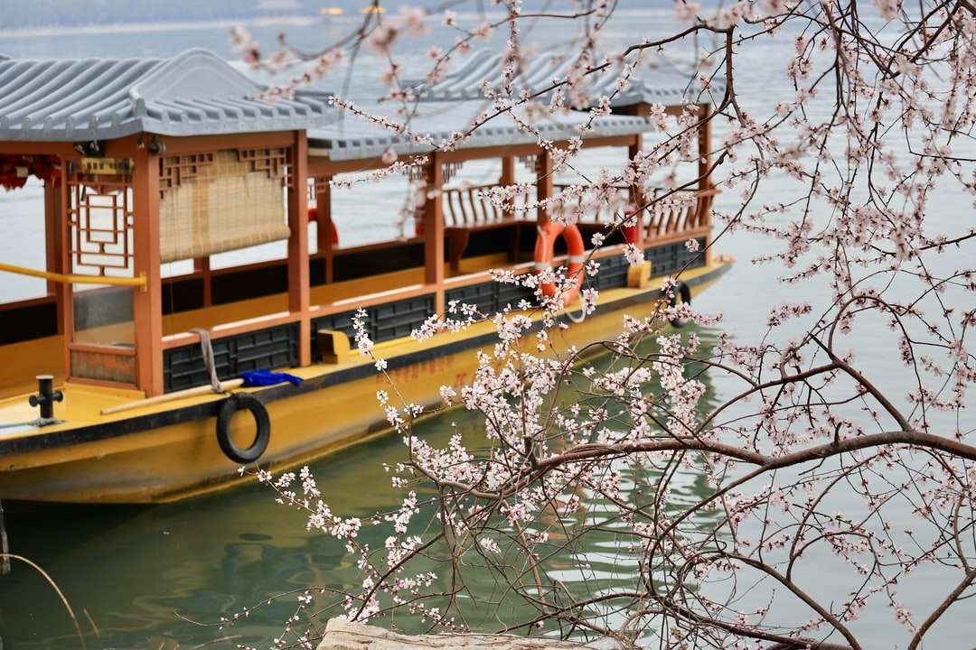 коричневий дерев'яний човен на воді в денний час пазл онлайн