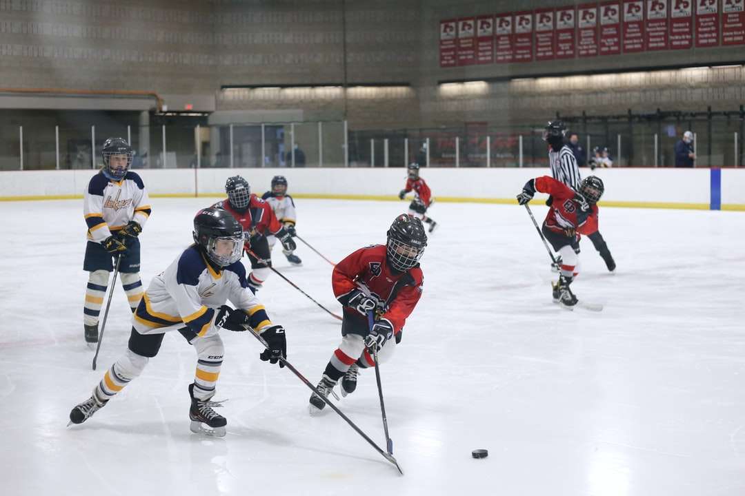 Hombres jugando al hockey sobre hielo en el estadio de hielo rompecabezas en línea