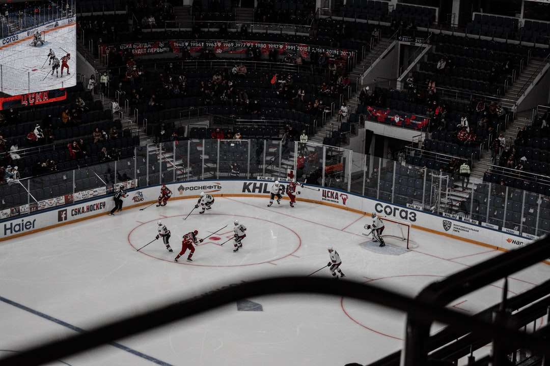 Jugadores de hockey sobre hielo en el estadio de hielo rompecabezas en línea