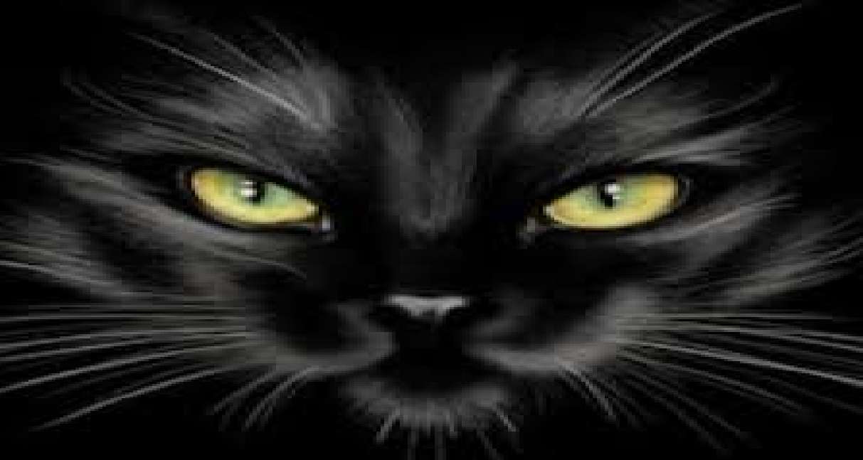 Чорна кішка пазл онлайн