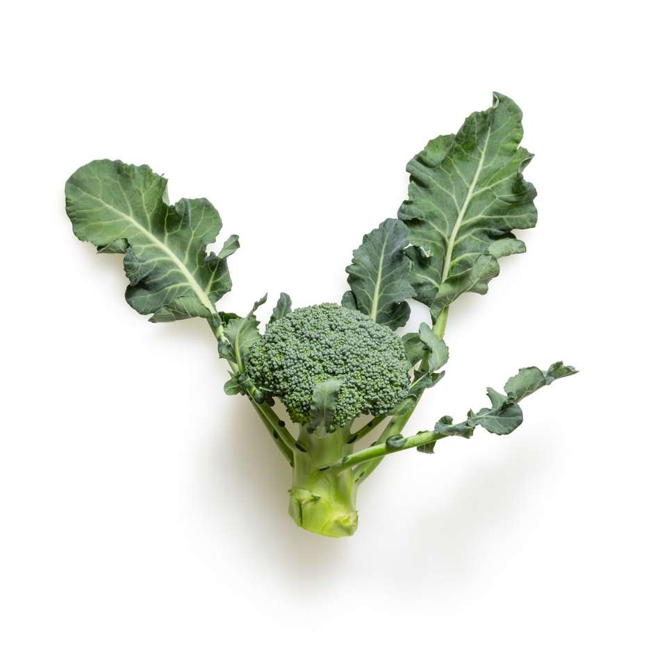Brócoli verde sobre fondo blanco rompecabezas en línea