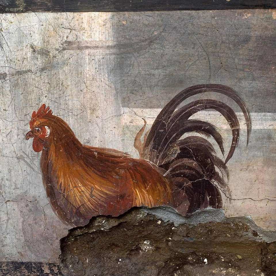 Gallo del Termopolio Scavi di Pompei Italia puzzle online