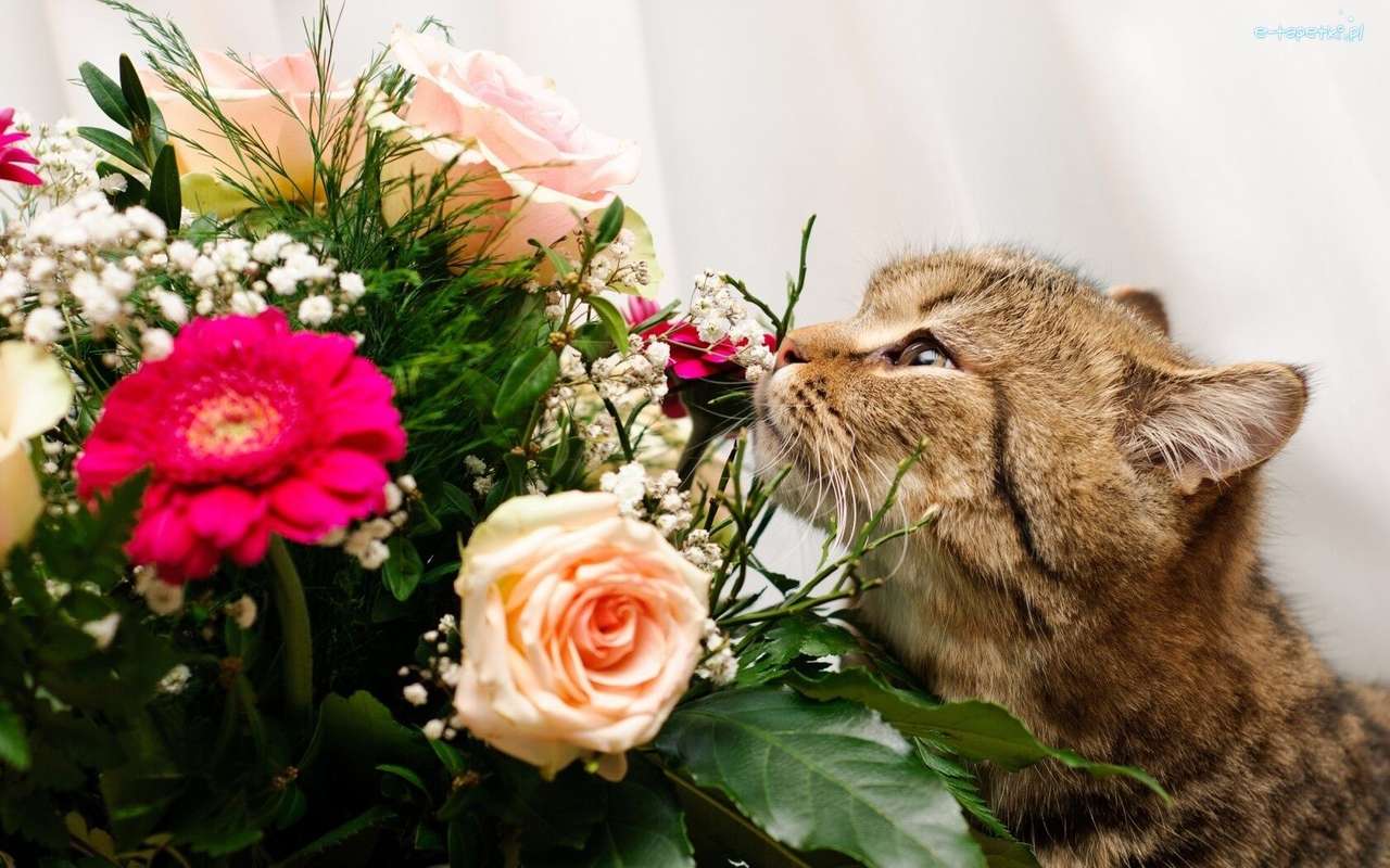 kattunge och en bukett blommor Pussel online