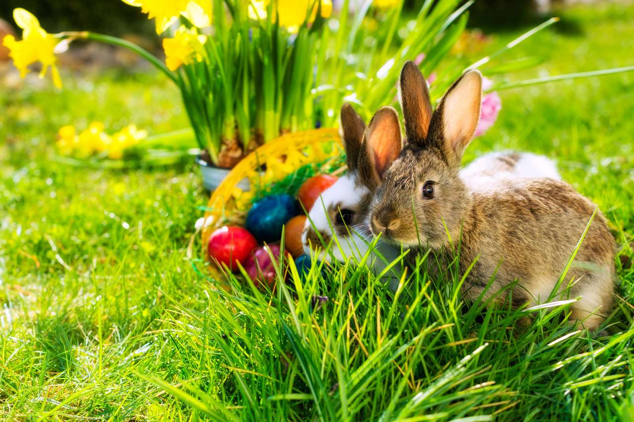 Kaninchen auf dem Gras mit Ostereiern Online-Puzzle