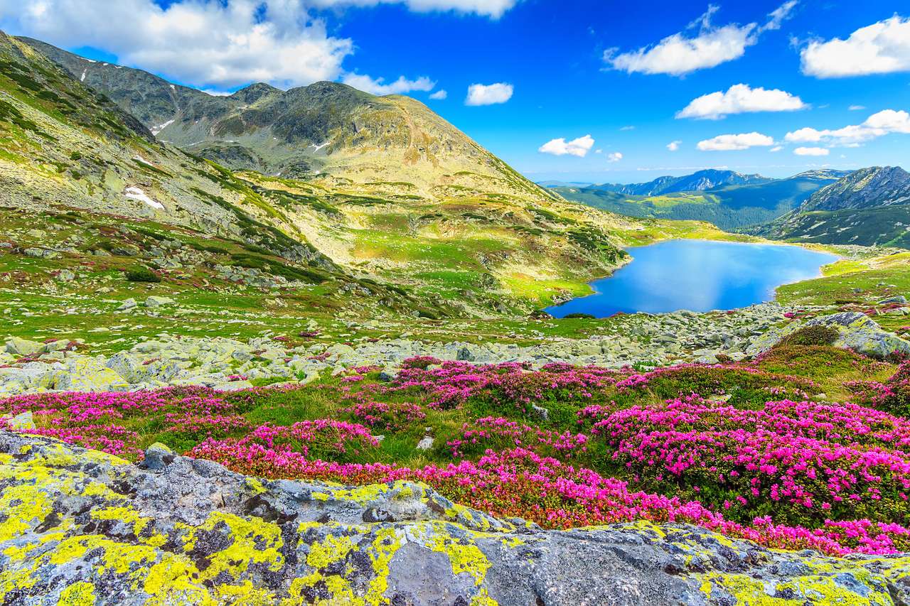 Flowers grow in the mountains jigsaw puzzle online