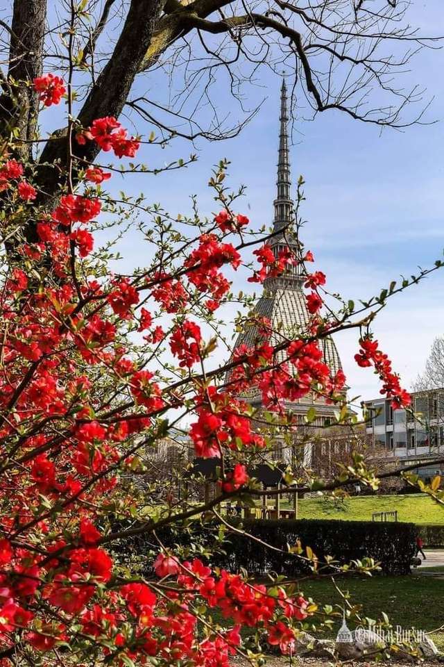 Весна в Турині онлайн пазл