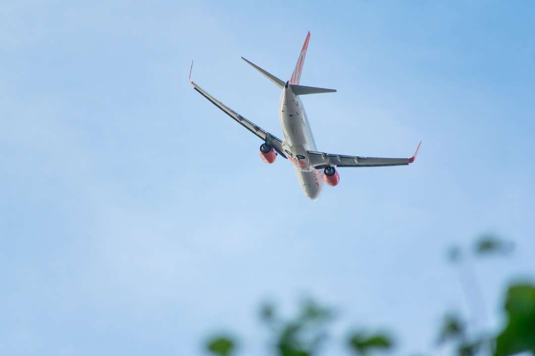 Weißes und rotes Flugzeug fliegen tagsüber Online-Puzzle