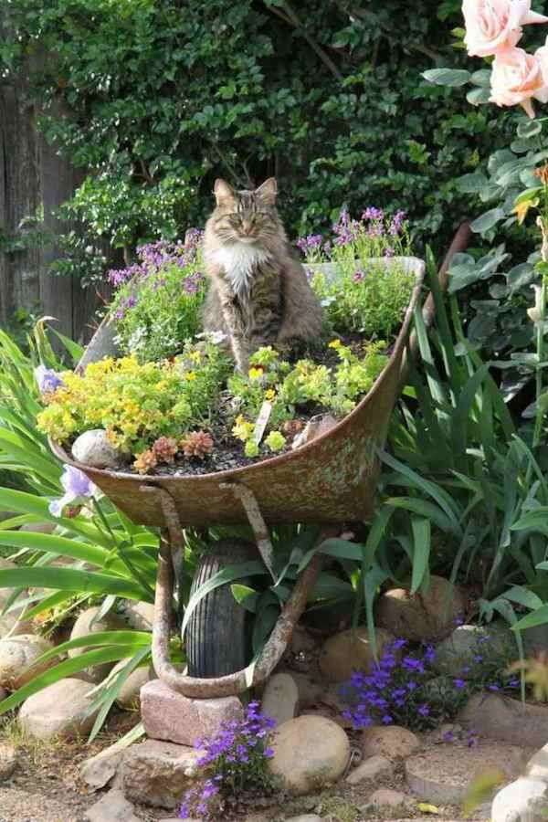 Котенок в саду онлайн-пазл
