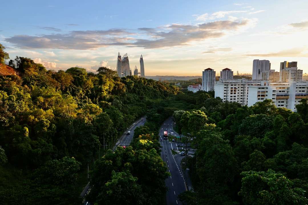 Vista aerea di alberi verdi e edifici durante il giorno puzzle online