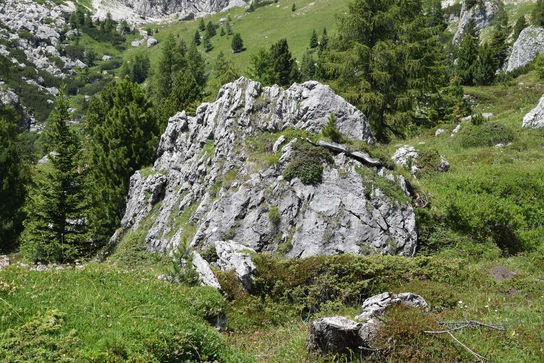 Grünes Rasenfeld und grauer felsiger Berg tagsüber Online-Puzzle