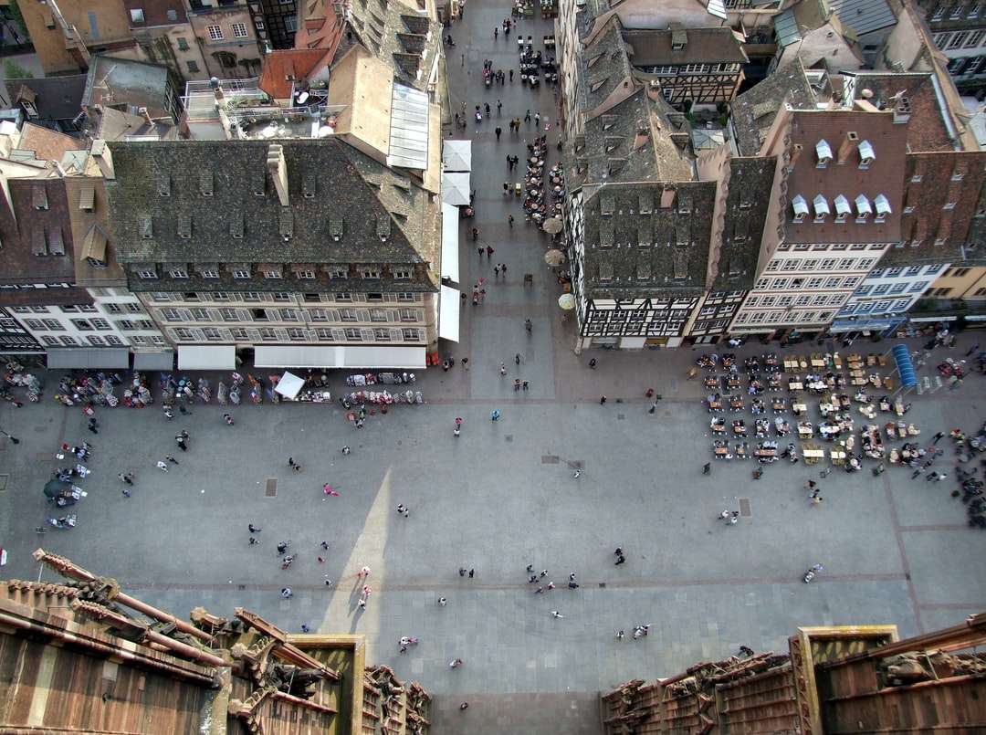 Flygfoto över stadsbyggnader under dagtid pussel på nätet