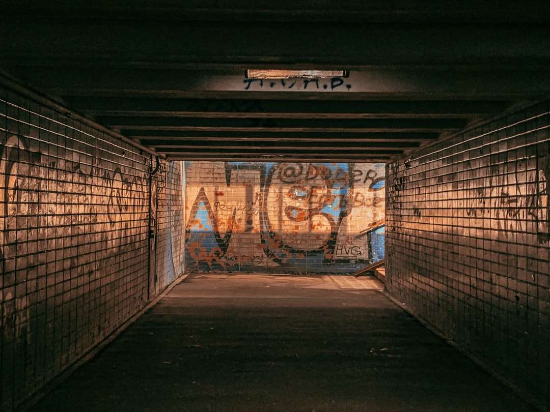 graffiti pe perete în timpul nopții puzzle online