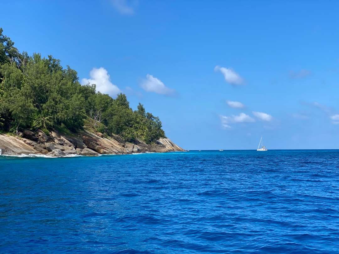 Fehér vitorlás a tengeren zöld fák közelében kék ég kirakós online
