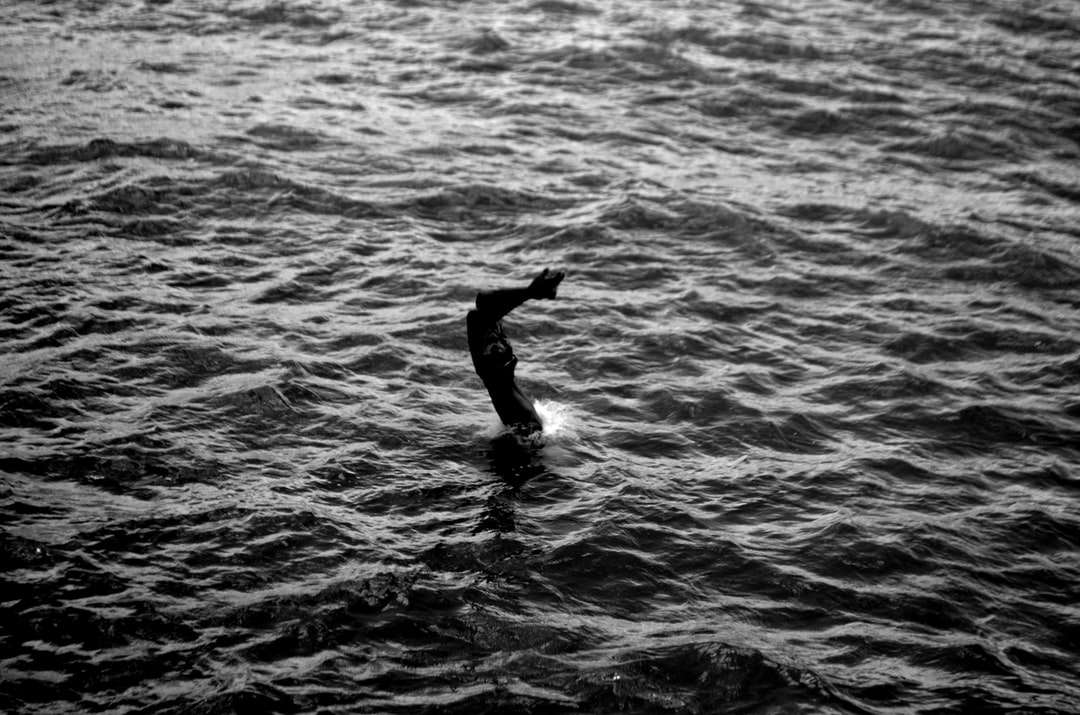 Foto en escala de grises del hombre en el agua. rompecabezas en línea