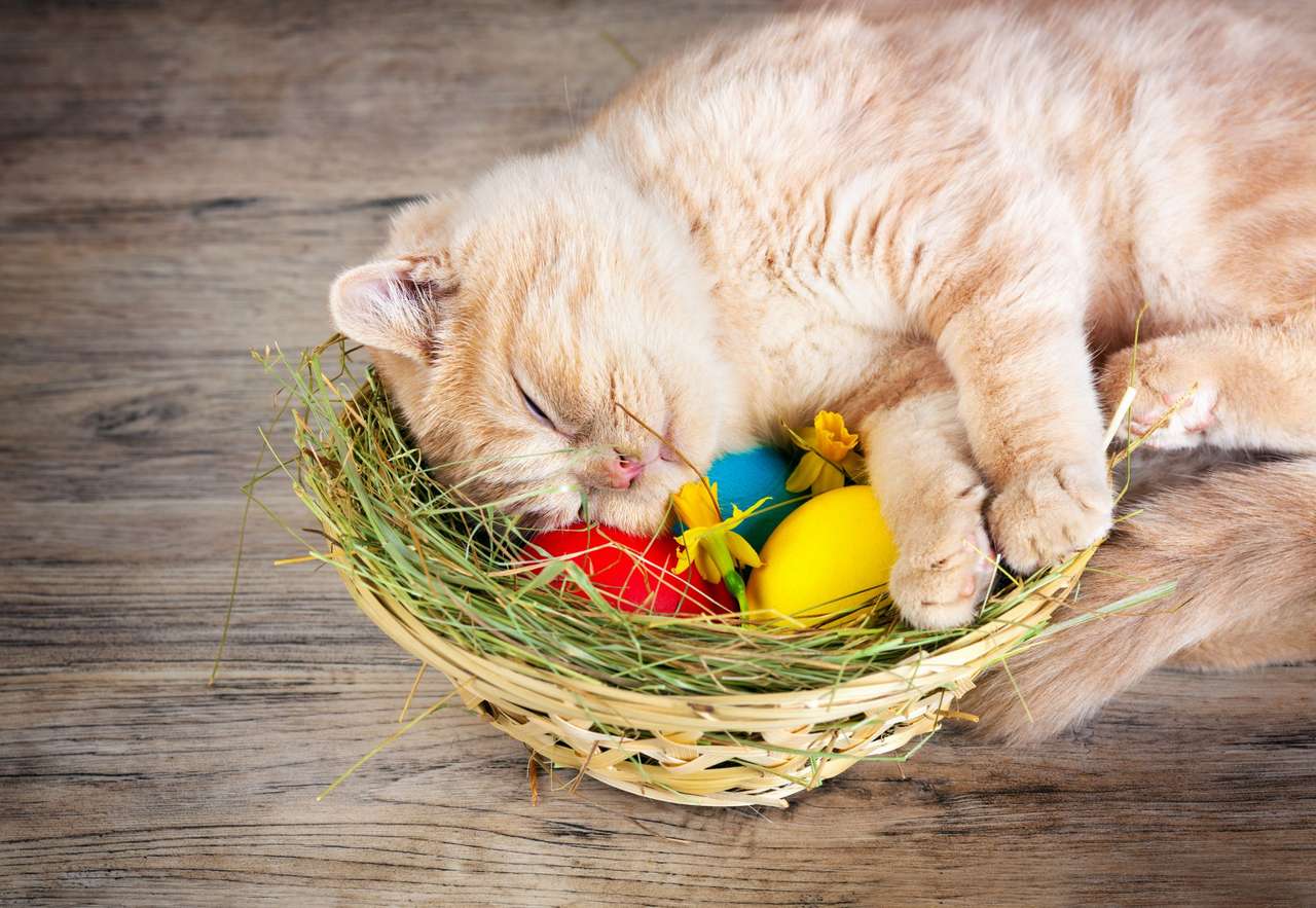 Γατάκι με αυγά του Πάσχα online παζλ